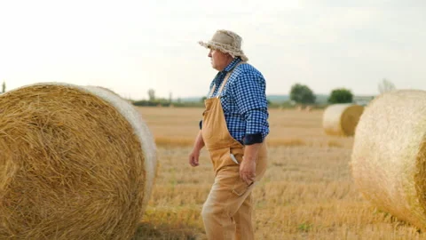 Active senior farmer walking across agricultural field with hay bale. Stock Footage 342174136