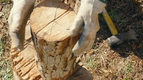 Active Senior Man Puts a Tree Stump onto a Chopping Block in Slow Motion Stock Footage 85242208