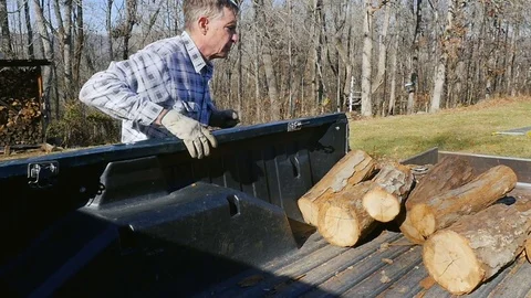 Active Senior Man Throws Uncut Logs in a Truck Bed in Slow Motion Stock Footage 85241521