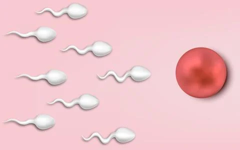 Active sperm cells swim to the egg on a pink background. The concept of pregn Stock Illustration