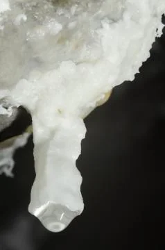 Active stalactite with water drop at the end Stock Photos