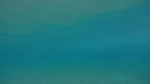 Active swimming view Stock Footage 67549900
