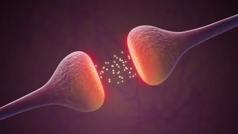 Active Synaptic Signals Strengthening Neural Pathways Stock-Footage 294196628