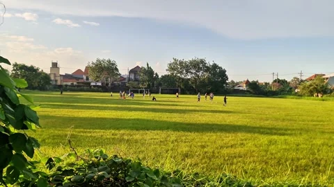 Active Teenagers Doing Physical Training and Soccer Practice Stock Footage 333466459