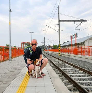 Active tourist with backpack using phone and waiting for train. Man and beagle Stock-Fotos