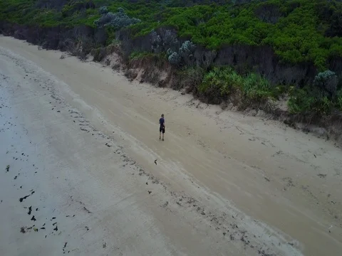 Active Track on the DJI MAVIC PRO of man on the beach with dog Stock Footage 76011806