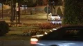 Active traffic in city street at night, busy urban life, green lawns and flowers HD Footage