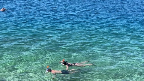 Active vacation concept.High angle view of snorkelers exploring the calm Stock Footage 314946254