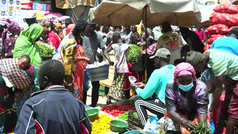 Active vegetables vendors at the market Stock Footage 201163473