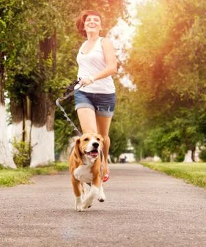 Active walk with pet Stock Photos