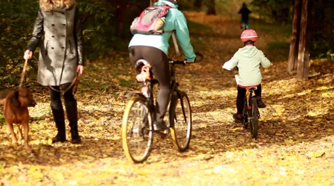 Active weekend in park Video stock 32274156
