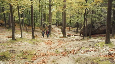 Active Weekend Trip Видео 96310939