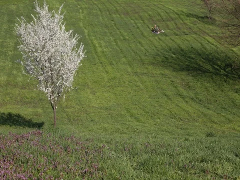 Active Woman Walk Down Mountain Hill Girl Practice Healthy Sport In Springtime Video stock 72767445
