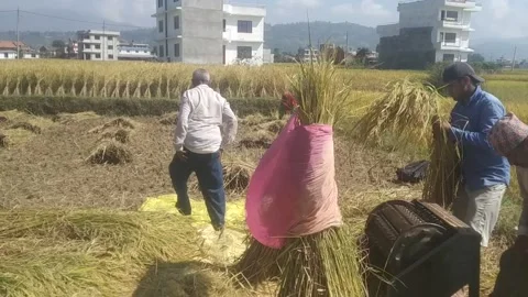 Active work 動画素材 140870035