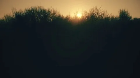 Active young man running along a trail on a hill with landscape of the ocean at Stock Footage 84189558