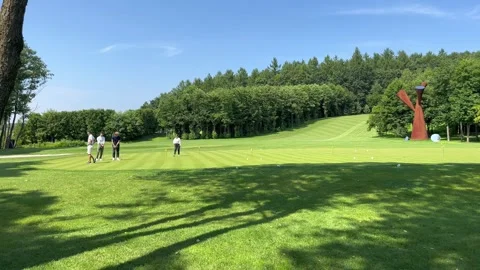 Active young people playing golf on vacation Stock Footage 247759865