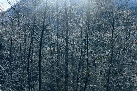 Actively springtime snow melts Stock Photos