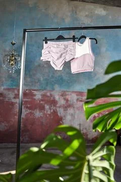 Activewear Essentials in a Modern Setting Stock Photos