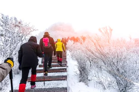 Activities climbing in winter. Stock-Fotos