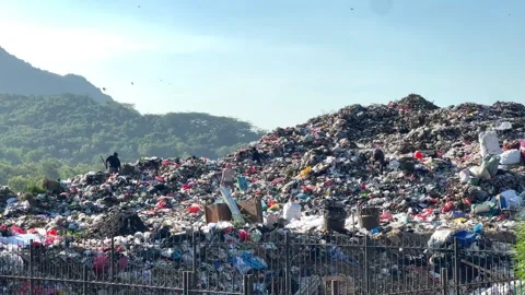 Activities in the landfill Stock Footage 305131136