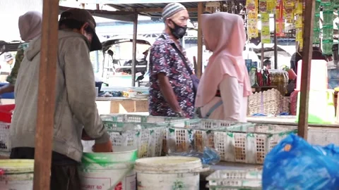 Activities of sellers or traders of raw tofu Stock Footage 208308454