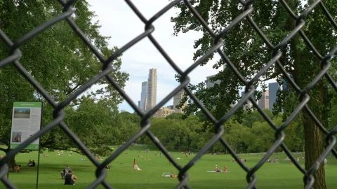 Activities at Sheep's Meadow in Central Park Stock Footage 139899809