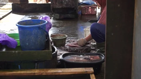 The activities of traders or fish sellers in the market. Stock Footage 208304261