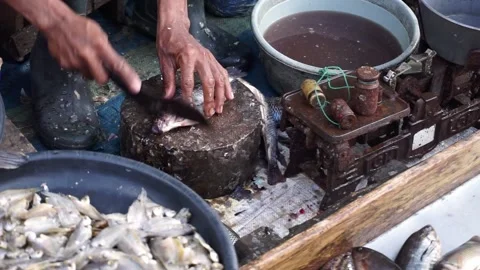 The activities of traders or fish sellers in the market. Stock Footage 208304541