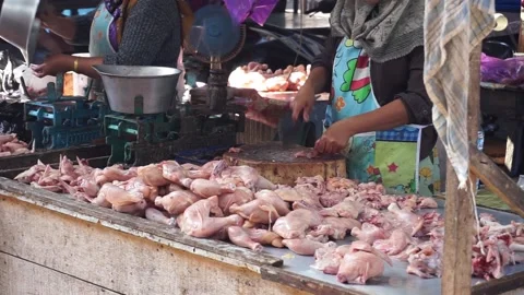The activities of traders or sellers and buyers of broiler chickens in tradition Stock Footage 208302708