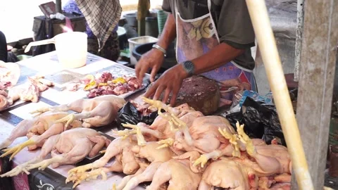 The activities of traders or sellers and buyers of broiler chickens in tradition Stock Footage 208302716
