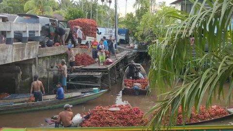 Activities of traders selling rambutan fruit Stock Footage 250390415