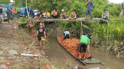 Activities of traders selling rambutan fruit Stock Footage 250390431