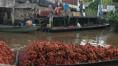 Activities of traders selling rambutan fruit Stock Footage 250390463