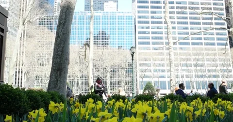 Activity in Bryant Park Manhattan New York 4k Stock Video Stock Footage 62254257