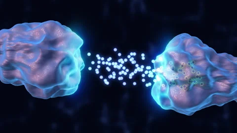 Activity of neurons and synapses Vídeos de archivo 260636069