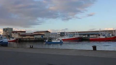 Activity in the port of Burela, in Spain Stock Footage 236941226
