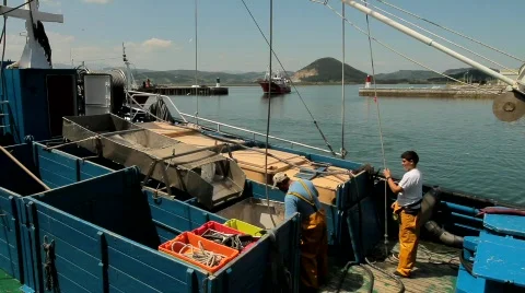 Activity at the port Video stock 793733