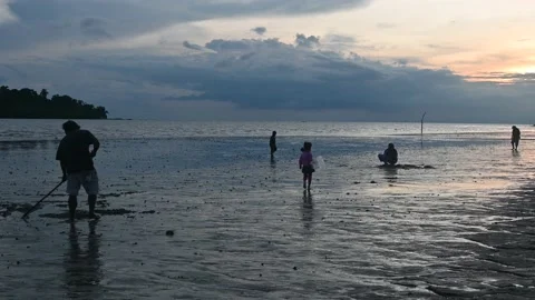 Activity on sunset beach Stock Footage 221606221