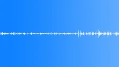 Activity,Office,Computer Typing,AmbientSound Effect