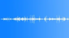 Activity,Plane Crash Site,Metal Moves,BG Crickets,No VoicesSound Effect