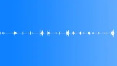 Activity,Trowel,Metal,Small,Dirt,Dry 1 Sound Effect