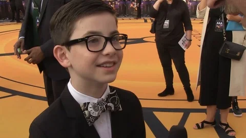 Actor Owen Vaccaro at 'The House with a Clock in Its Walls' movie Premiere- 2018 스톡 동영상 101210428