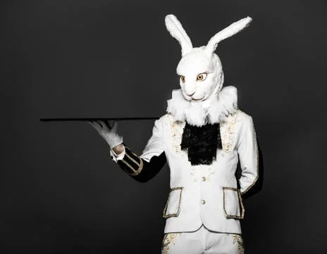 Actor posing in white rabbit suit with tray on black background.Studio shot Stock Photos