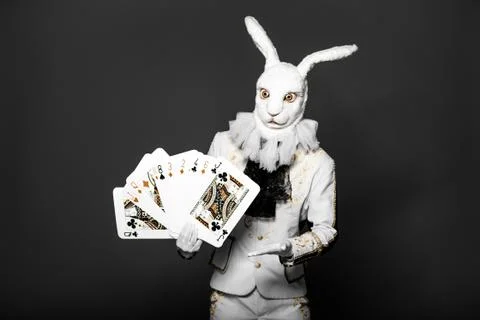 Actor posing in white rabbit suit with playing cards on black background.Studio Stock Photos