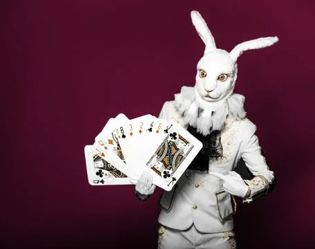 Actor posing in white rabbit suit with playing cards on bright  color red Stock Photos