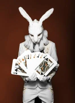 Actor posing in white rabbit suit with playing cards on bright  color background Stock Photos