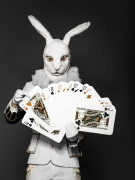 Actor posing in white rabbit suit with playing cards on black background.Studio Stock Photos