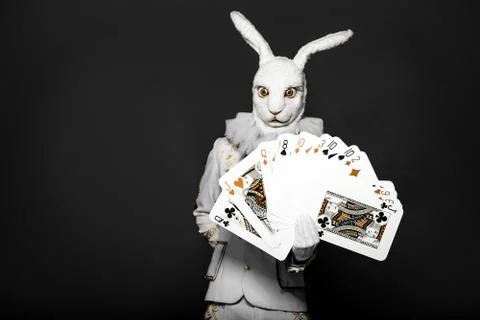 Actor posing in white rabbit suit with playing cards on black background.Studio Stock Photos