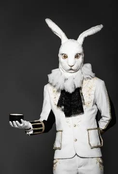Actor posing in white rabbit suit with cup on dark black  background.Studio shot Stock-Fotos