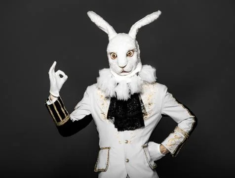 Actor posing in white rabbit suit on black background.Studio shot.Halloween time Stock Photos